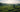 A serene O2H tea garden at dawn, with lush rows of tea plants and a figure admiring the tranquil beauty of the sprawling plantation.