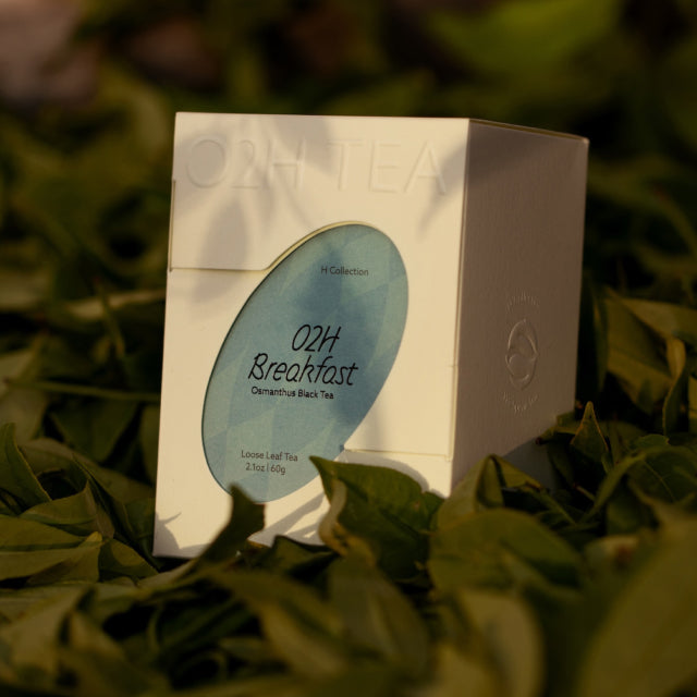 O2H Breakfast Osmanthus Black Tea packaging artfully presented on a bed of fresh tea leaves, epitomizing a premium tea experience.